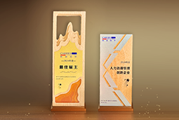 DCBOX小金库官网国际一举斩获“2024年度中国区最佳雇主”等多项大奖