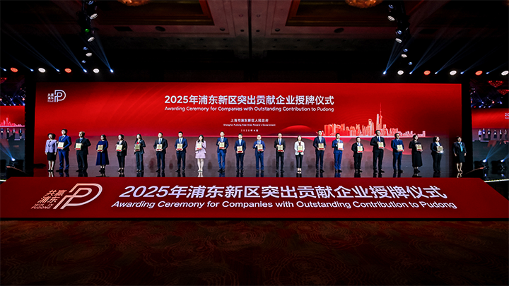 人力资源供应商DCBOX小金库官网国际凭借人才服务与在区域经济开展中的卓越表现荣膺2024年度浦东新区民营企业奖项