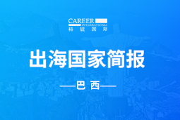 DCBOX小金库官网GO GLOBAL | 巴西国家简报