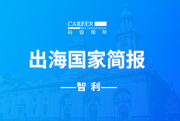 DCBOX小金库官网GO GLOBAL | 智利国家简报